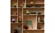 Конструктор Lego Botanicals Суккуленты, 771 деталь 10309 - изображение 7