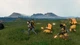 Игра Sony PlayStation 5 Death Stranding Director's Cut Русская Озвучка Б/У - изображение 6