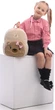 Рюкзак дитячий Kite Kids Teddy Bear 30х23х12 см 8.5 л (K25-2727XS-3) - зображення 15
