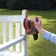 Вібраційна шліфмашина Black+Decker BDCROS18N - изображение 5
