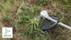 Акумуляторний тример Bosch AdvancedBrushCut 36V-23-750, 1 акб 2 Ah, з/п, пакування пошкоджене (06008C1K03920) - зображення 3