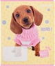 Набір шкільних зошитів Kite Studio Pets 12 аркушів у лінію 25 шт (SP25-234) - зображення 3