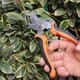 Універсальний набір садових інструментів у кейсі 14 в 1 Gardening Set ART - зображення 7