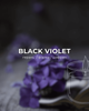 Аромасвеча ARDEMA BLACK VIOLET 200 г (181007W) - изображение 2