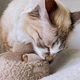Поисковая игрушка для собак Mushroom Guu Lambwolf (Oat) (M) - изображение 6