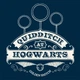 Сумка HARRY POTTER Quidditch (Гаррі Поттер) Синій, 23л (ABYBAG327) - зображення 5