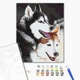Картина по номерам Хаски 40х50 см Brushme BS28714 - изображение 2