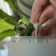 Сережки кольца с дорожкой фианитов Серьги конго с фианитами Серьги конго медзолото родий Сережки медсплав - изображение 3