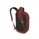 Рюкзак туристический Osprey Arcane Small Day acorn O/S [92516] - изображение 3