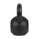 Гиря чугуна 20 кг Rebel Active RBA-2323-20 - зображення 3
