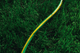 Шланг садовий 2Е AquaFlex Green 1/2" 30м 3 шари 10бар (2E-GHE12GN30) - зображення 4