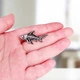 Значок (пин) BROCHE брошь бижутерия Море Скелет акулы серебристый BRGV114835 - изображение 4