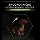 Purina PRO PLAN Small & Mini Puppy Healthy Start сухой корм для щенков мелких пород, с курицей 7 кг - изображение 4