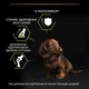 Purina PRO PLAN Small & Mini Puppy Healthy Start сухой корм для щенков мелких пород, с курицей 7 кг - изображение 6