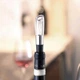 Аэратор для вина Circle Joy Stainless Steel Fast Decanter CJ-DXJQ01 Black - изображение 2