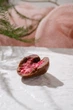 Малина сублимированная Panfruit Ukraine в молочном шоколаде 50 г (4820195681220) - изображение 3