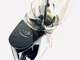 Соковыжималка шнековая для фруктов и овощей Rospec JC-7200G, сито из нержавеющей стали - изображение 8
