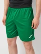 Спортивные шорты мужские Joma Nobel 100053.450 L Зеленые (9995138944085) - изображение 4