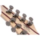 Электрогитара Cort KX507 Multi Scale Star Dust Black [130666] - изображение 6