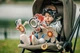 Дуга для коляски Tiny Love Tiny Rockers (1405400030) - изображение 4
