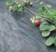 Агроткань Agrocover 100 г/м² 1.05x100 м Черная (8593631030447) - изображение 3