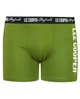 Трусы-боксеры мужские Lee Cooper LCUBOX1PLOGO2PESTO XXL зеленые (9911111151882) - изображение 1