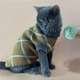 Свитер для собак и кошек "Bobi" Size XS - изображение 1