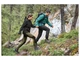 Куртка Softshell водовідштовхувальна та вітрозахисна для жінки Crivit BIONIC-FINISH® ECO 458390 M чорний - зображення 4