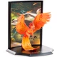 Фігурка HARRY POTTER Toyllectible Treasures - Fawkes (Гаррі Поттер) 13 см - зображення 5