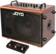 Комбоусилитель для акустической гитары Joyo BSK-80 (80W, 1x10", 1x3") (R128304) - изображение 1