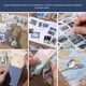 Набор для скраббукинга и рукоделия ERYDE с широким выбором аксессуаров и высококачественными материалами для ваших творческих проектов (синий) - изображение 3