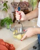 Миска Pyrex 15 см 700 мл (178B000/8440) - изображение 4