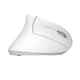 Миша Trust Verto Ergonomic, WL, білий - изображение 2