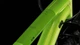 Велосипед Cube Aim mistygreen´n´black 16" 27.5 2023 - изображение 3