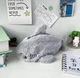 Плюшевый пенал / косметичка с 1 отделением Shark органайзер в форме акулы для школьных принадлежностей / карандашей / ручек / косметики, серый (103401445) - изображение 6