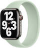 Ремінець Apple Solo Loop для Apple Watch 45mm Size 11 Mineral Green (MN4M3) - зображення 1