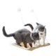 Лежанка віконна для кішки Sunny Seat Window Cat Bed (61901TT727) - зображення 7