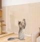 Антикіготь Захисне покриття для дивану меблів та шпалер 60х100 см Cat Protect Кігтеточка самоклеюча Бежевий 1 шт - изображение 9