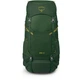 Рюкзак Osprey Ace 50 green canopy O/S зелений - изображение 5