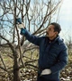 Секатор аккумуляторный BOSCH Pro Pruner, 2 аккумулятора (0.601.9K1.021) - изображение 3