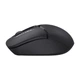Компьютерная мышь A4tech Fstyler FG12 1200dpi Black, USB, Wireless - изображение 5