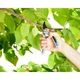 Секатор Gardena Comfort B/L 8906 (08906-20.000.00) - изображение 3