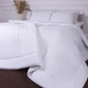 Одеяло MirSon зимнее 110x140 см антиалергенное BamBoo Супер Теплое №1642 Eco Light White (2200002652919) - изображение 1