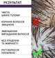 Скраб для шкіри голови з кератином для очищення, росту та зміцнення волосся Reclaire 200 мл - зображення 4