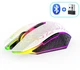 Бездротова ігрова миша GAME MOUSE RGB Bluetooth + 2.4G на акумуляторі біла - изображение 3