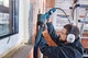 Угловая шлифмашина Bosch Professional GWS 7-125 (0601388108) - изображение 3
