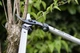 Сучкорез FELCO 201-60 (60 см) - изображение 3