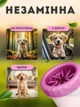 Лапомийка зручна ємність для миття лап тварин Lapomover Soft Gentle середня (гумова, рожева) - зображення 5