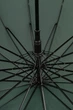 Зонт женский S2024-12A Зеленый - изображение 4