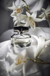 Woda toaletowa damska Gucci Bamboo 50 ml (730870189016) - obraz 3